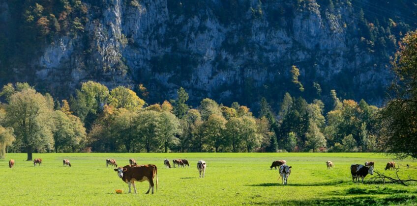 yevgeniya-tyumina-dX7qbwmtmRo-unsplash